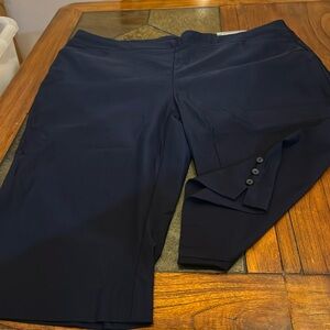 So slimming Brigitte slim leg capris size 4 (20)